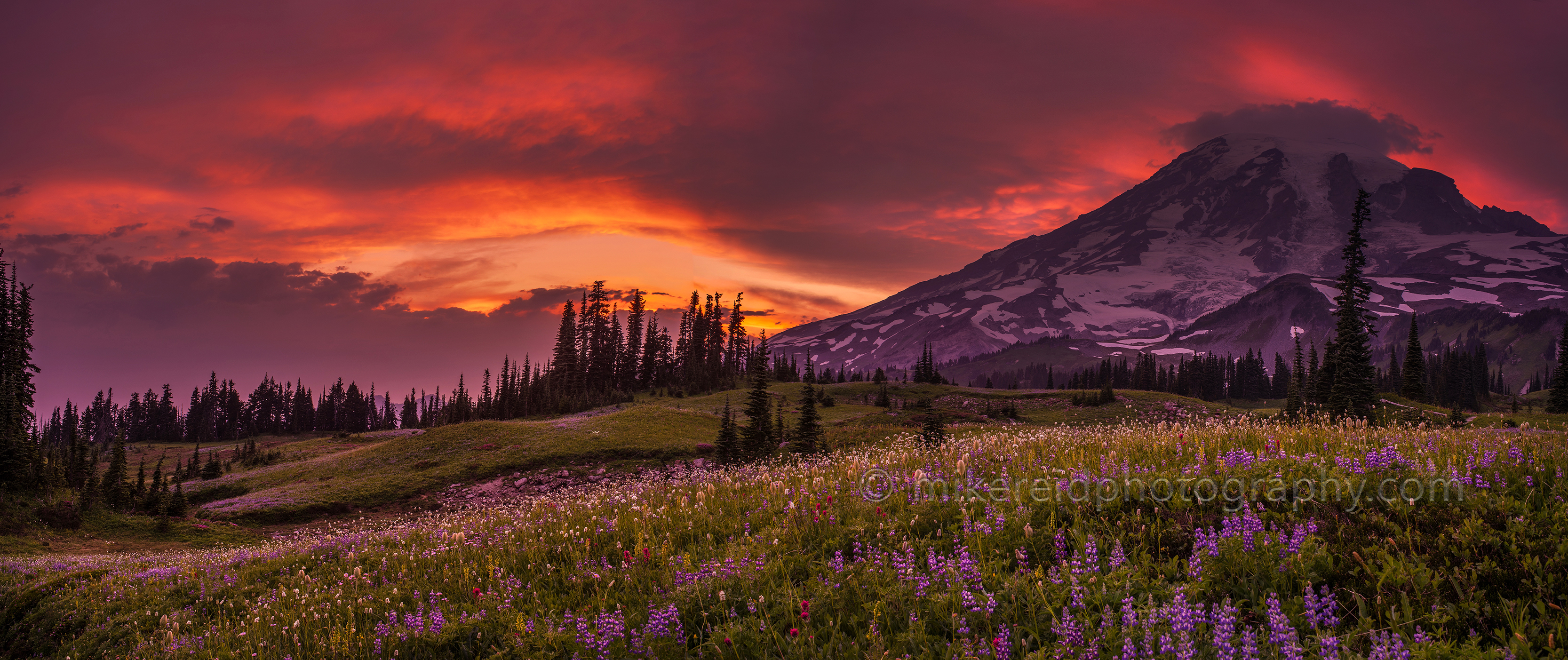 Mount Rainier Fiery Mountain Sunset Pano